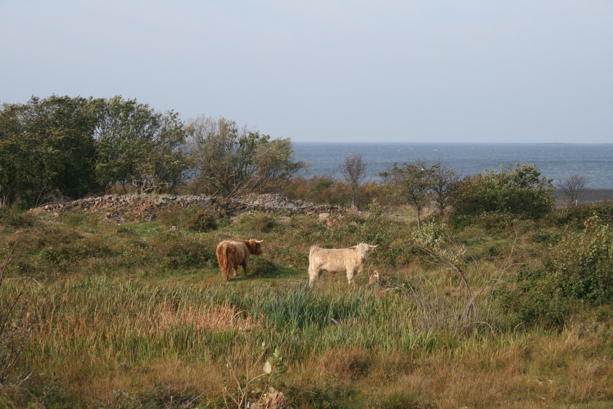 Torekov, Påarp