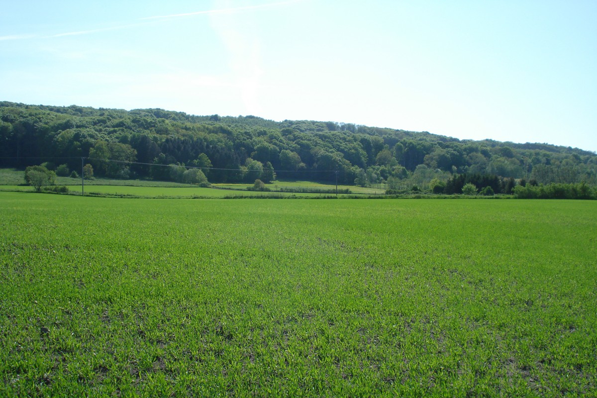 Östra Karup – Båstads kommun